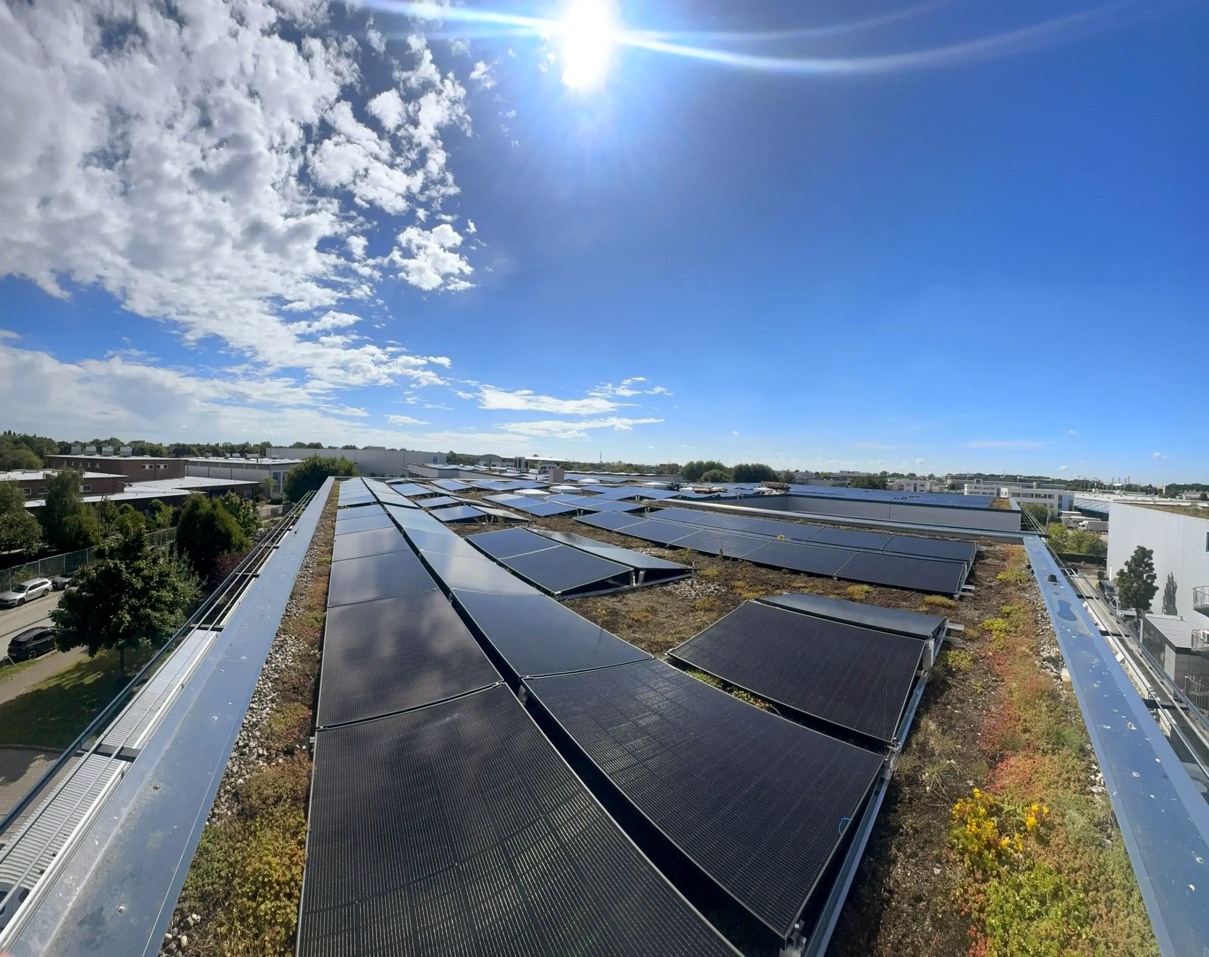 Photovoltaikanlage auf begrüntem Industriedach eines Gewerbebetriebs bei Sonnenschein
