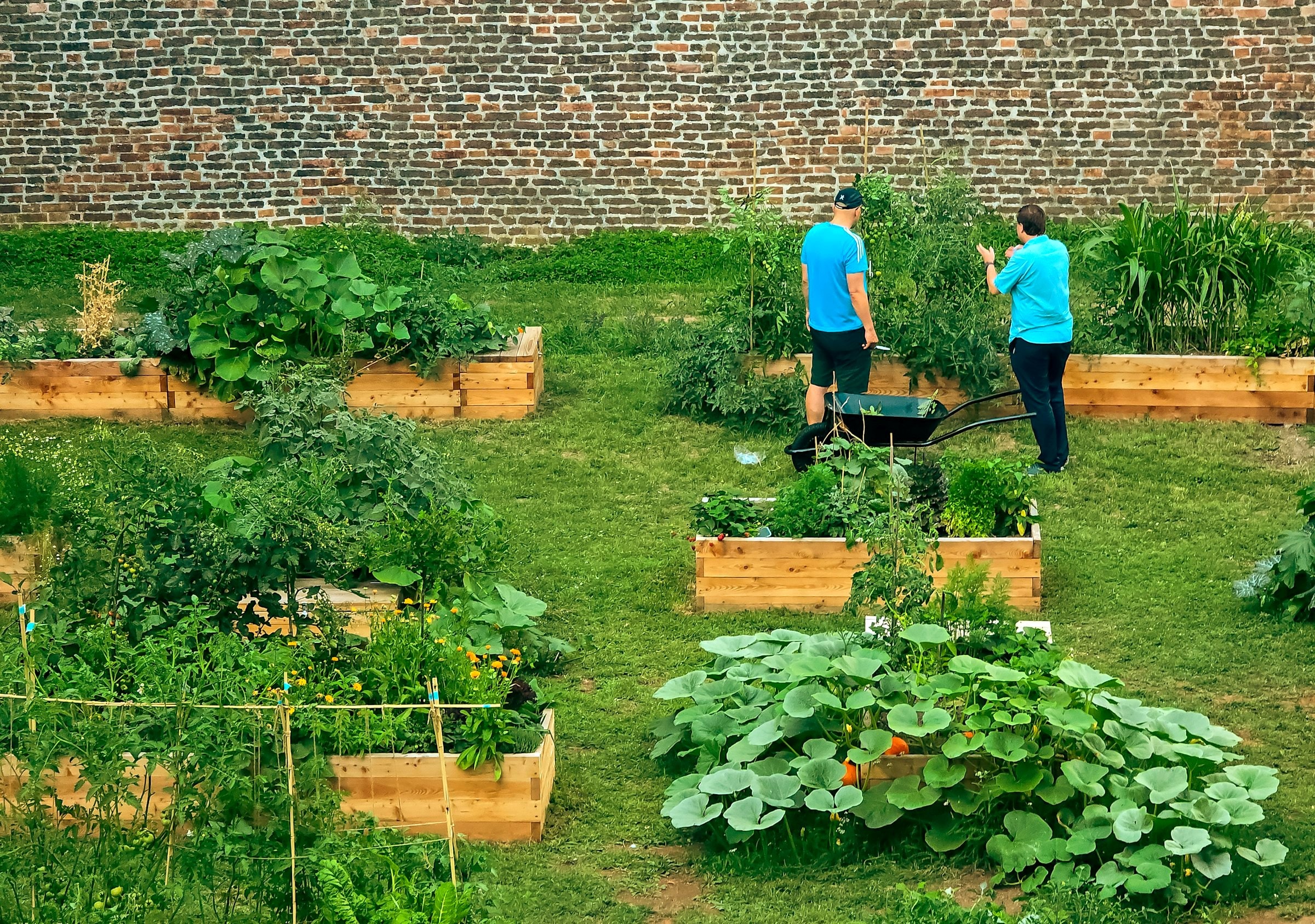 Nachbarn in einem Gemeinschaftsgarten
